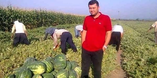 Tarlada karpuzun fiyatı 15 kuruş