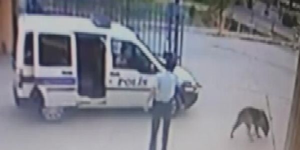 Köpek vuran polis açığa alındı