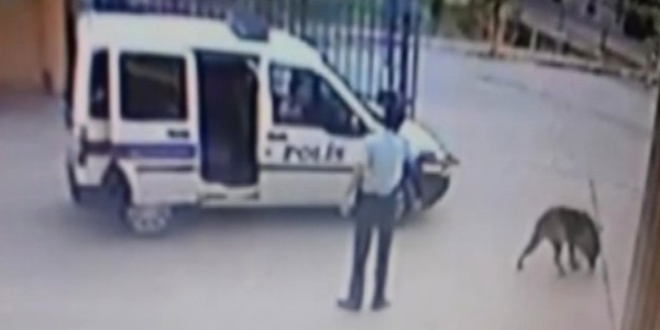 Köpeği vuran polis için iddianame hazırlandı