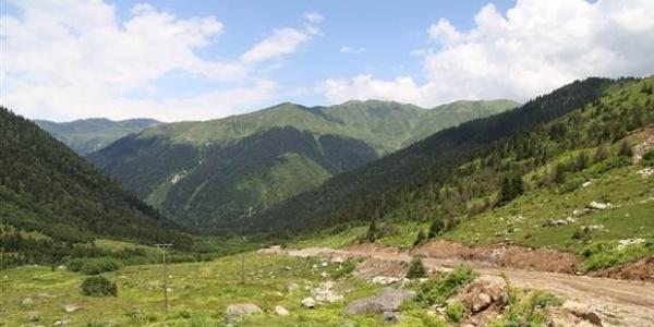 'Yeşil yol'un doğayı tahrip edeceği doğru değil'