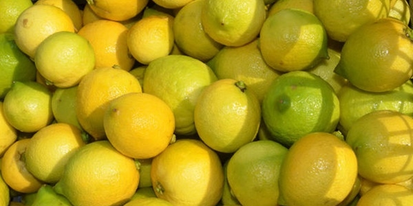 Temmuzda en ok limonun fiyat artt