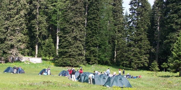 Bolu'da 90 ülkeden 250 öğrenci kamp yapacak