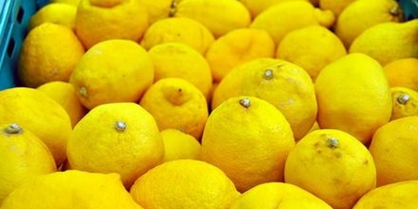 Temmuzda zam ampiyonu limon