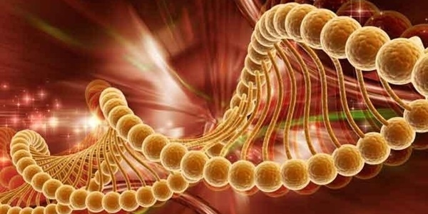 Pankreas kanserinin erken teşhisinde önemli ilerleme