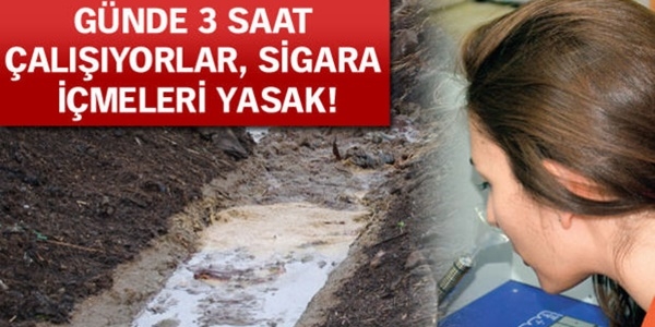 Torbadaki havayı koklayıp kirliliğin izini sürüyorlar
