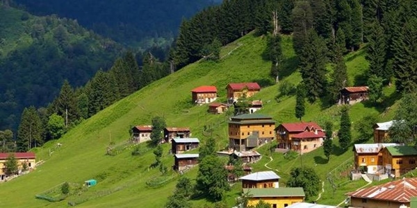 Diyabet hastalarına 'yayla' tavsiyesi