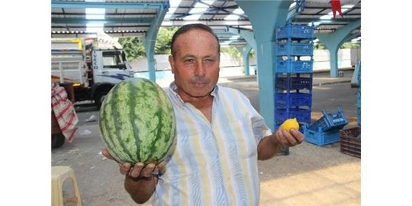 5 kilo karpuz fiyatına 1 limon