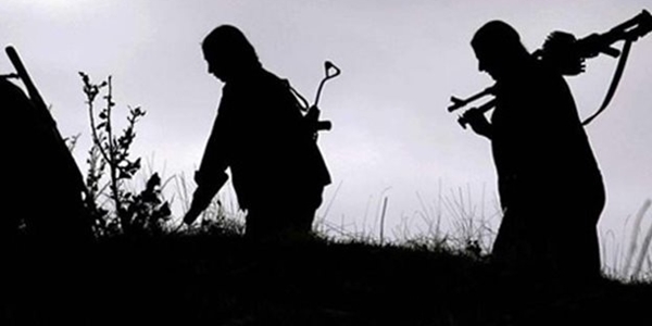 Şırnak'ta 5 PKK'lı teslim oldu