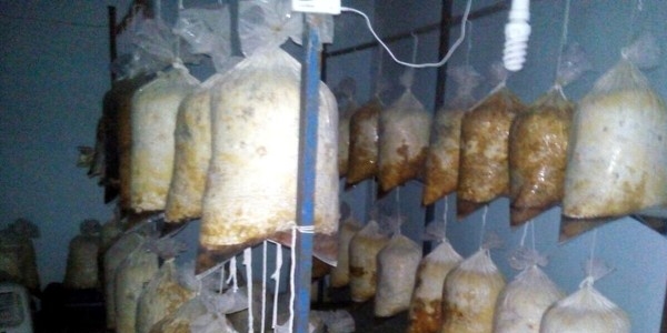 Diyarbakır'ı yok etmeye yetecek bomba yakalandı