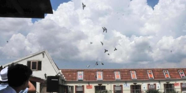 Posta güvercinleri 7 saatte Konya'dan Eskişehir'e geldi