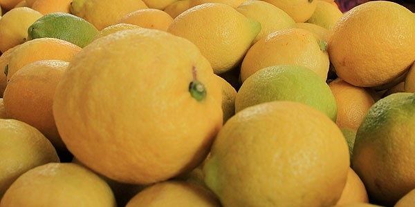 'Zam şampiyonu' limonda erken hasat