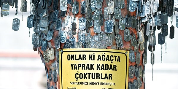 Şehitler Ağacı'na 56 künye daha çakıldı