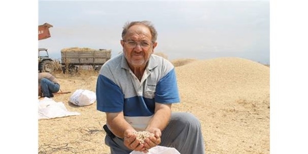 Nohutta verim düştü fiyatlar arttı