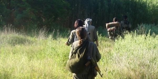PKK son iki ylda 316 ocuu daa kard