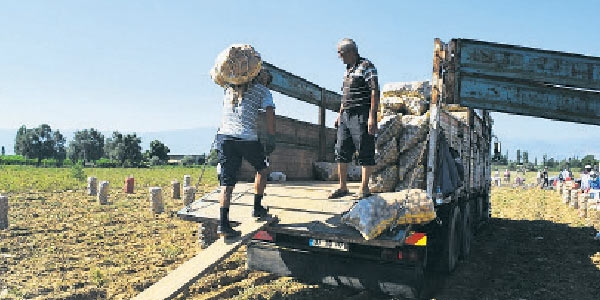 Patates fiyatı depo baskınıyla ucuzladı