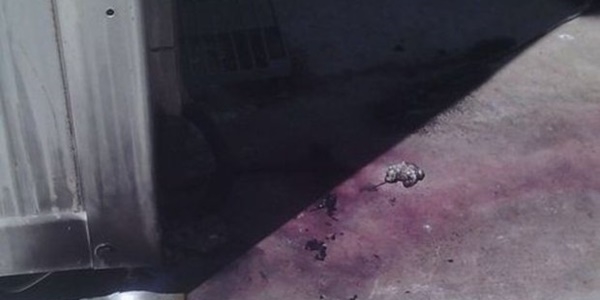 Van'da jandarma karakolu ve baz istasyonuna saldırı