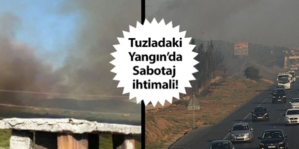 Tuzla'daki orman yangınları sabotaj mı?