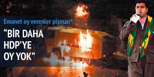 HDP'nin emanet oyları geri gidecek