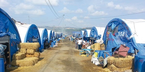 Yola bakan Kurban çadırı 7 bin TL