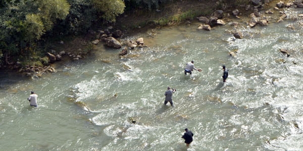 Otomobil botan çayına uçtu: 4 ölü, 1 yaralı