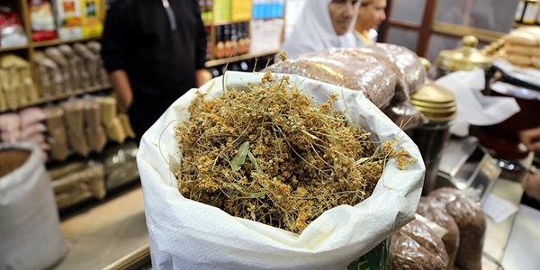 Ihlamurun fiyatı 'çeyrek altın'ı solladı