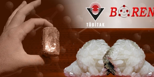 Ulusal Bor Araştırma Enstitüsü Disiplin Amirleri Yönetmeliği