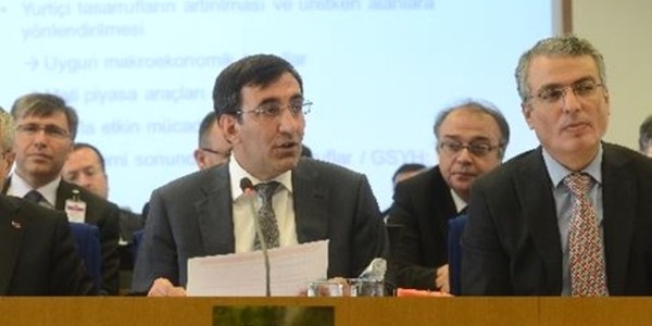 GAP'a hibe desteği