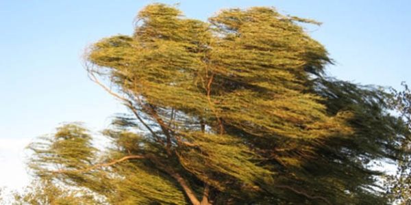 Meteorolojiden kuvvetli rüzgar ve fırtına uyarısı