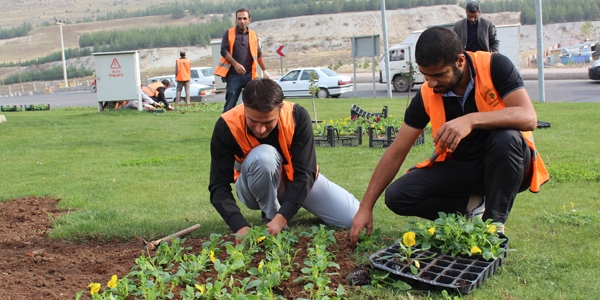 z: Btn taeron iiler kadroya alnmal