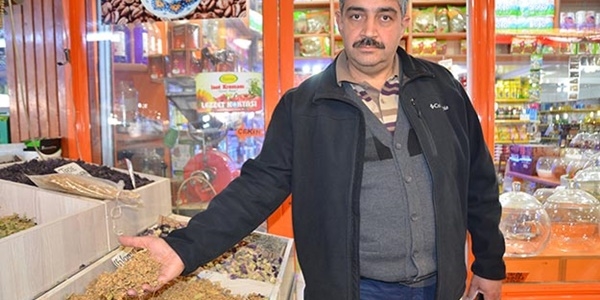 Ihlamur cep yakıyor