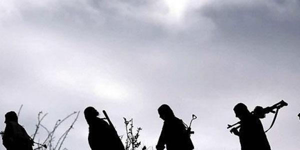 Şemdinli'de 1 PKK'lı teslim oldu