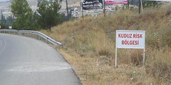 Elazığ'da bir ilçede kuduz karantinası ilan edildi