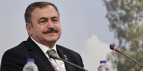 'Türkiye'nin ormanlık alanı 12 yılda 9 bin hektar artırıldı'