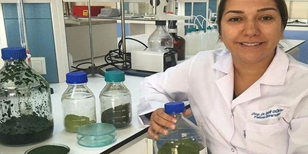 Üniversitede 'yosunlu ayran' ürettiler
