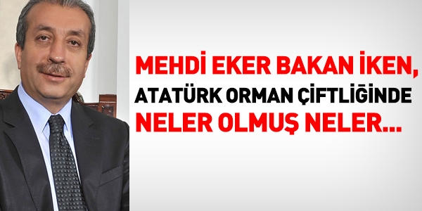 Mehdi Eker, Bakan iken, neler olmuş neler...