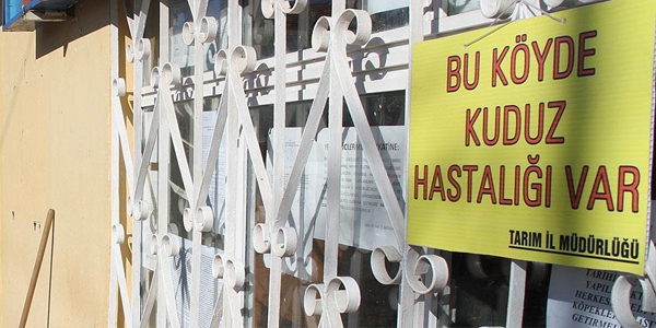 Bingöl'de bir köy karantinaya alındı