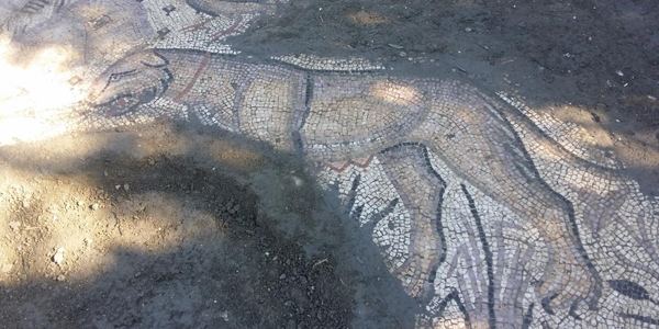 Hatay'da 6. yüzyıla ait kilise bulundu