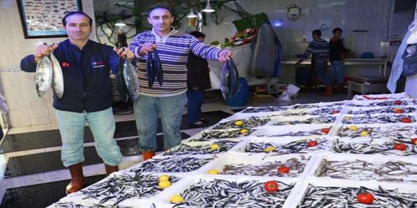 Hamsi balıkçının yüzünü güldürdü