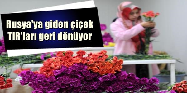 Rusya, çiçek Tırlarını geri çevirdi, zarar 200 bin dolar