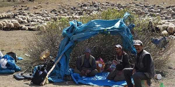 Douda iftilere 'terr' darbesi