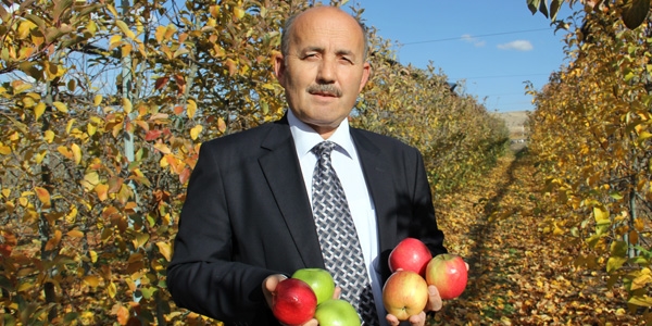 Sermayelerini bankaya değil elmaya yatırdılar