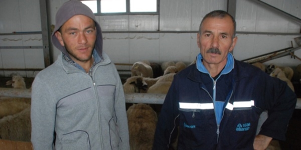 3 bin liraya çoban bulamadı, yurt dışından getirdi
