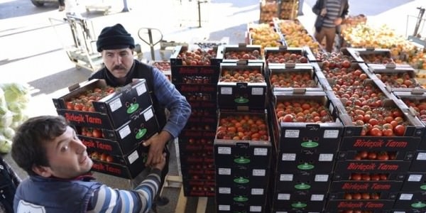 Türkiye'nin meyve-sebzesine ilk müşteri çıktı