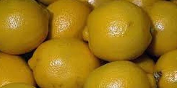 Limon fiyatları Rusya'yla yükseldi