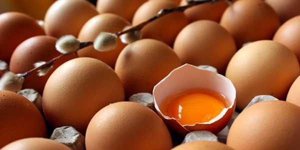 Yumurta fiyatları düştü