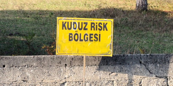 Karabük'te 'kuduz karantinası' uygulaması