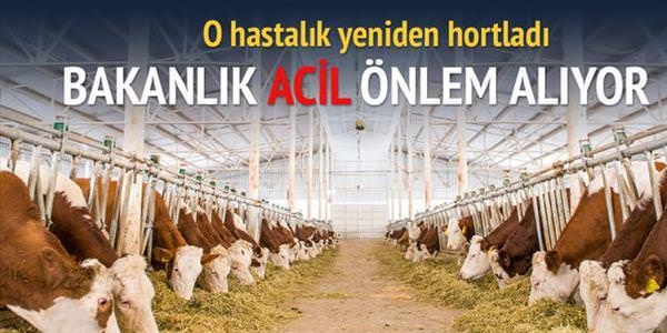 Bakanlık, hayvan pazarlarını karantinaya alıyor