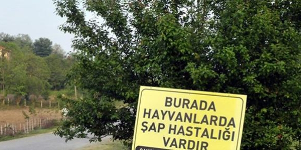 Balıkesir'in 5 ilçesinde şap hastalığı karantinası