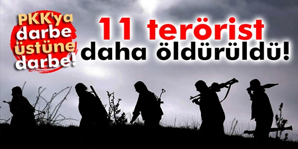 Şırnak'ta 11 terörist öldürüldü
