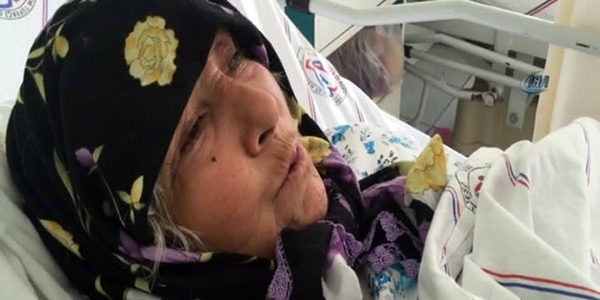 Emekli öğretmen zeytin toplayan kadını kuş sanıp vurdu